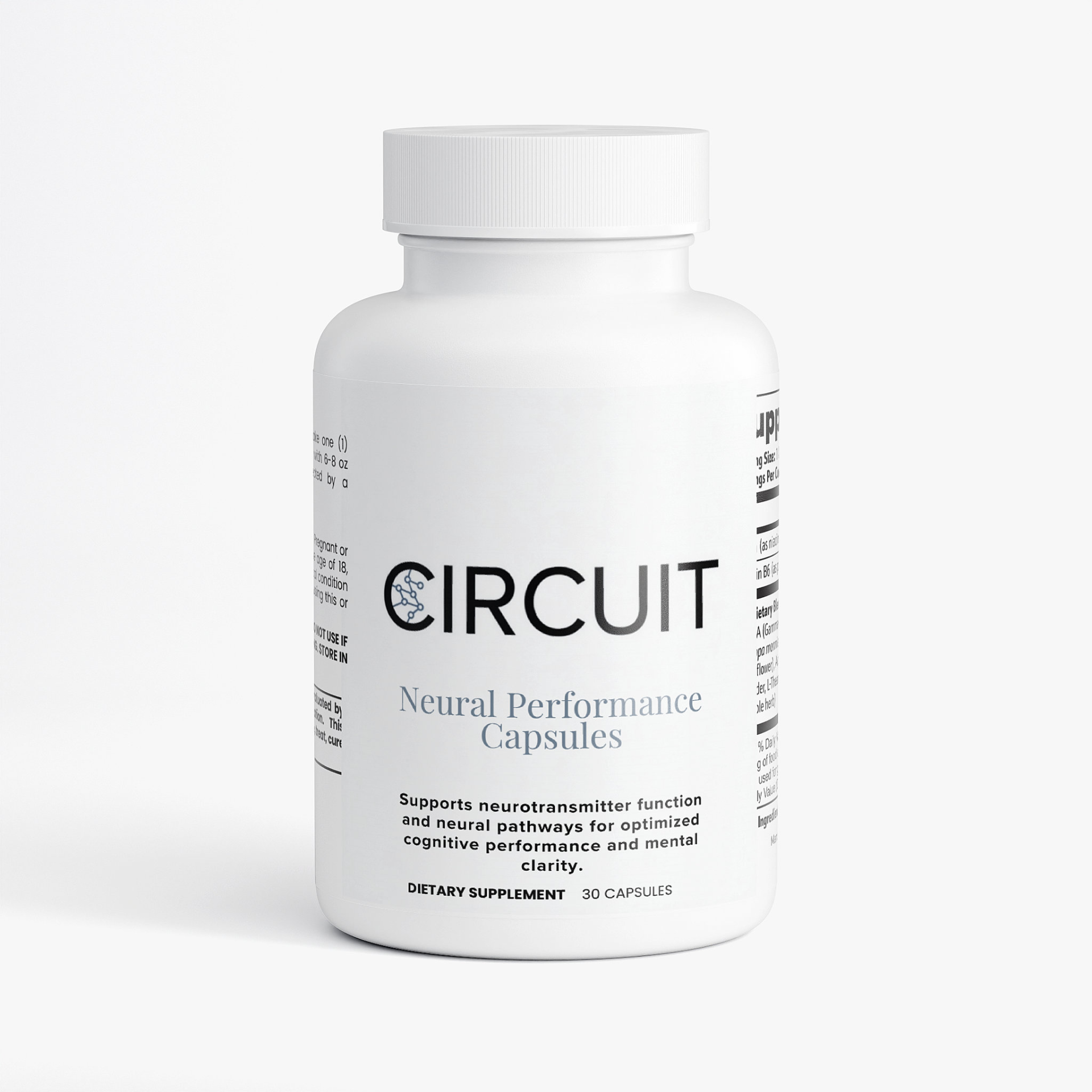 Circuit Neural Performance